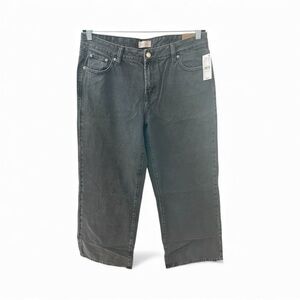 PACSUN Casey Baggy Fit Men’s Jeans Sz 30 Short (31”) Black Dark Wash NWT MSRP$65